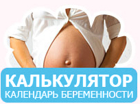 календарь беременности